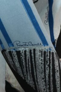 Roberto Cavalli Abstract Butterfly Print Dress – IT 40 - Image 4