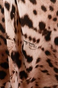 Roberto Cavalli Leopard Print Draped Dress – IT 38 - Image 4